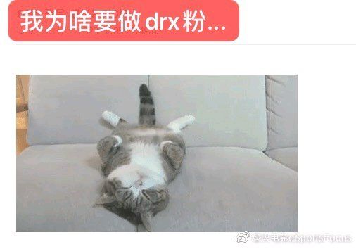 lpl|LPL今日三连胜，其他赛区网友集体吹爆Jackeylove