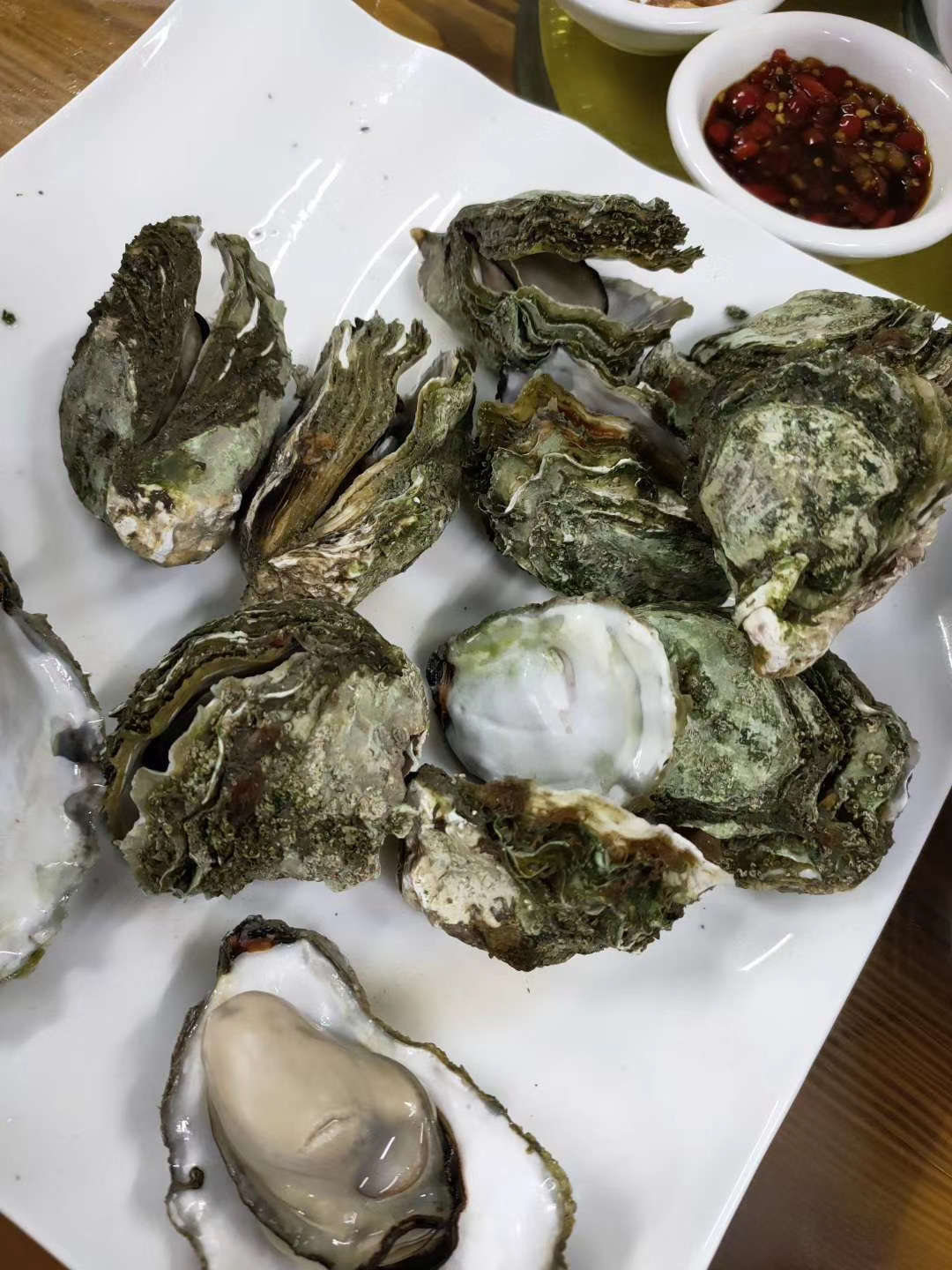 |收获丰富，大家快来，我请吃饭