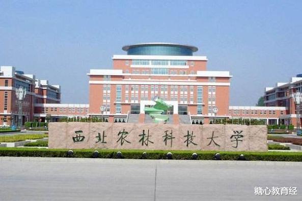 大学|985大学也可能招不满人，因为学霸可能看不上，学渣考不上