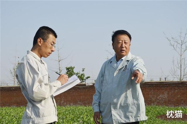 枕猫|杂交玉米之父李登海：决心为国家增粮千亿斤，开创玉米高产道路