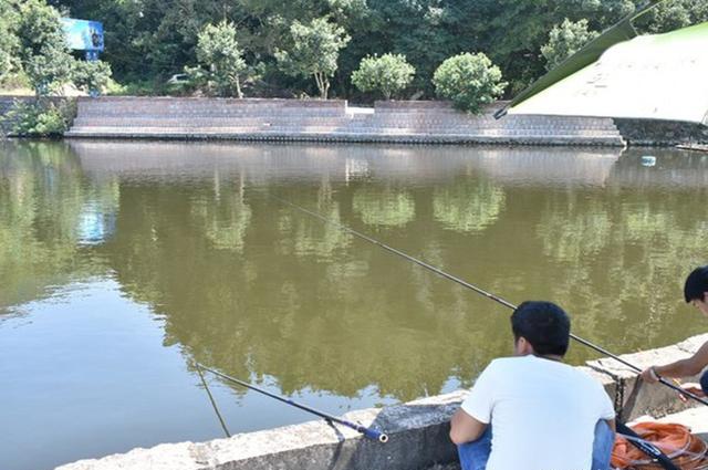 鲫鱼|秋末要想钓好鲫鱼,建议你看看这篇文章,助提升渔获,皇禾渔具