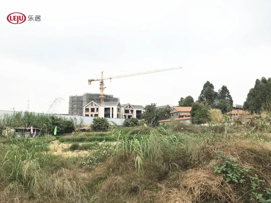 大华集团欲吞番禺3条旧改村？区域楼面价7月内涨超4成