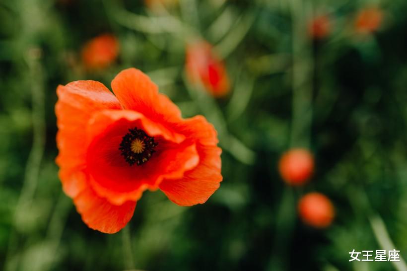 「」7月2号,贵人愿意提携的3属相,容易“发家致富”事业发达