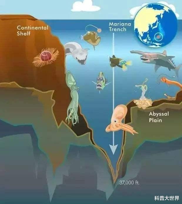 『火星』若地球上的水都消失了,地球会成啥样?仍比你见过的所有的球都圆