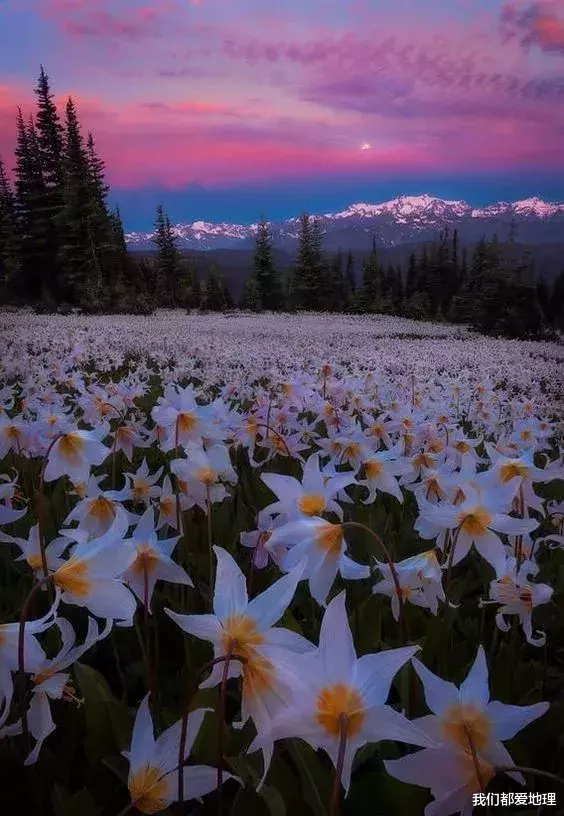 []72张精彩摄影，壮观！难得一见！