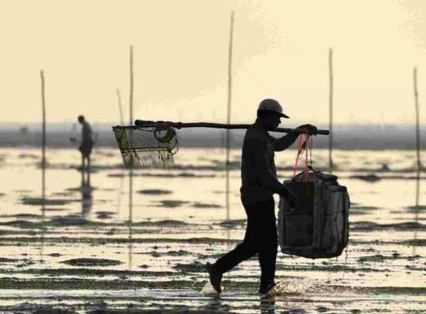 北海：中国最适合“养老”的地方，海鲜简直不要钱，四季气候很适宜