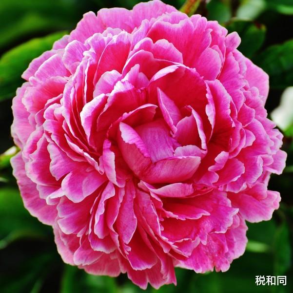 『运势』6月17号3大生肖大运来，金钱运势丰厚，日子喜多愁少，大吉大利