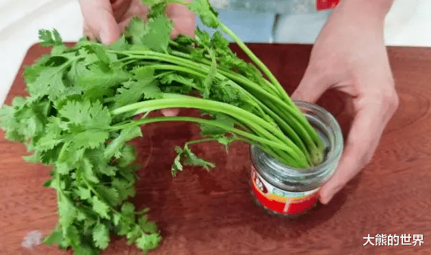 香菜|保存香菜，最忌直接放冰箱！教你饭店方法，半年还新鲜，不黄不坏