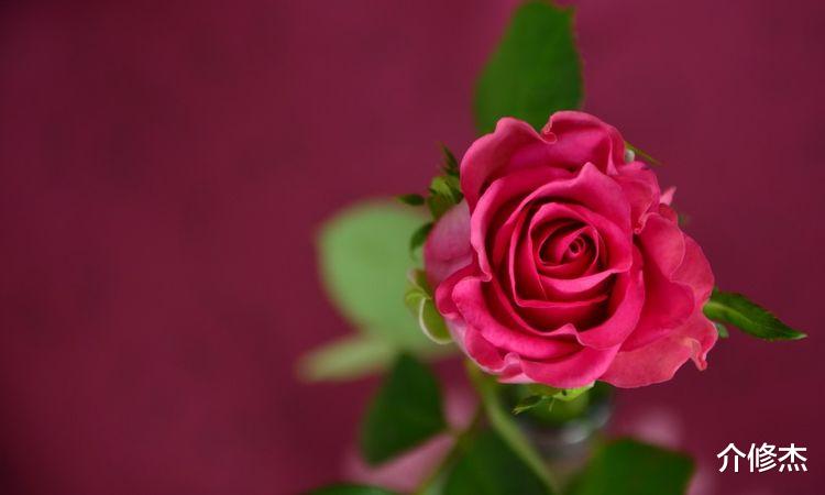 旧爱|九月份，最容易错失真爱，有缘无分般的宿命，想太多的四大星座