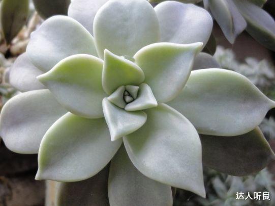 属鸡|未来三个月,4属相财运事业双如意,喜庆盈门,生活节节攀升