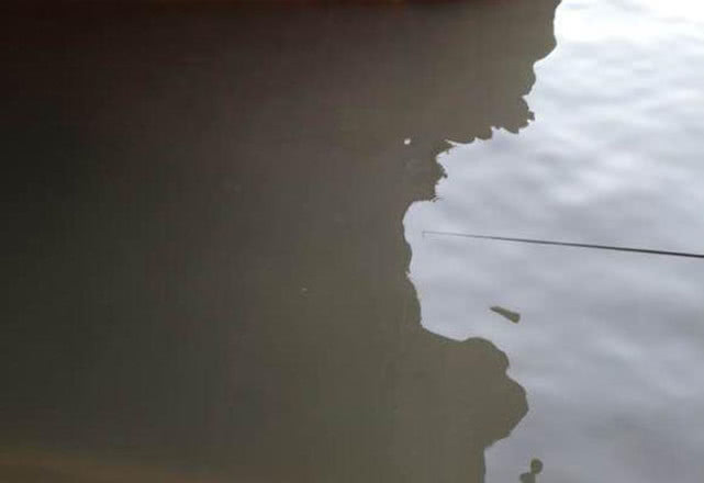 []万能鱼饵非蚯蚓莫属？不，还有苍蝇也可以钓鱼