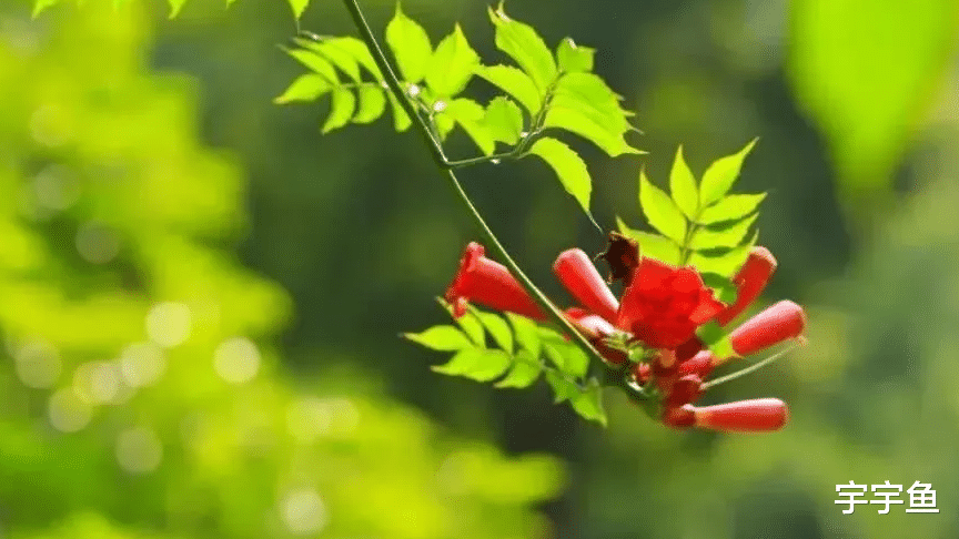 生肖|9月一到大大好消息，4生肖左有贵人、右有大喜，睡着都笑醒