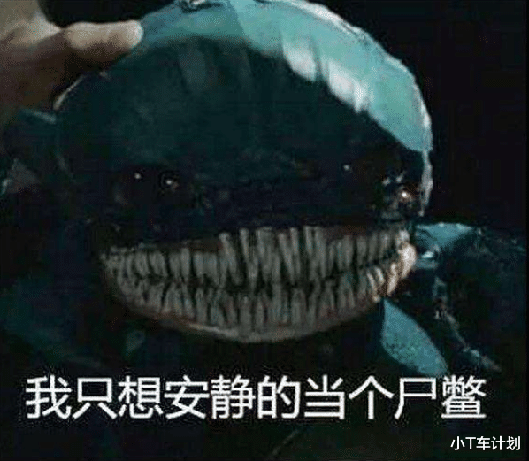 「」真正的“尸蟞”，在我国各地都有分布，被咬后果不堪设想