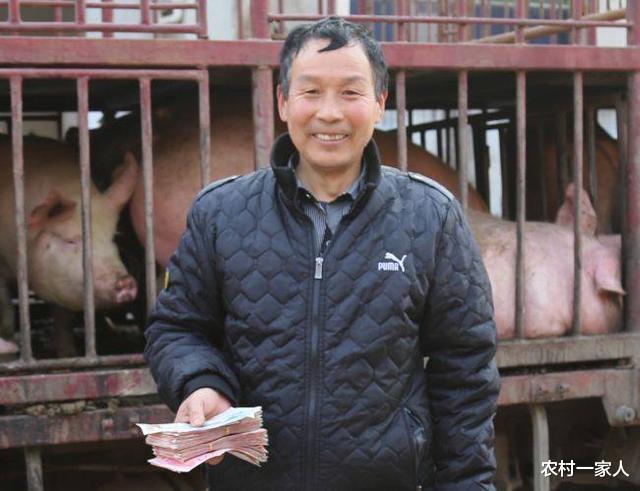 「生猪价格」7月1日猪价：开门红！11省破19元，涨价势不可挡