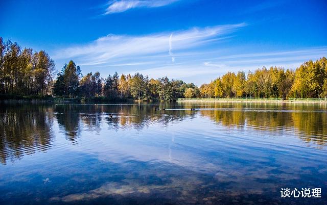 射手座|12月，满目星河，心心念念都是你，3星座两人同心，白首不分离
