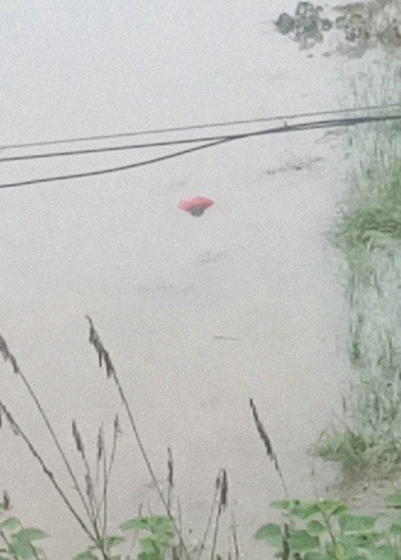 六安：浮尸？六安钓鱼人早起钓鱼，河面却漂来一具“不明物体”