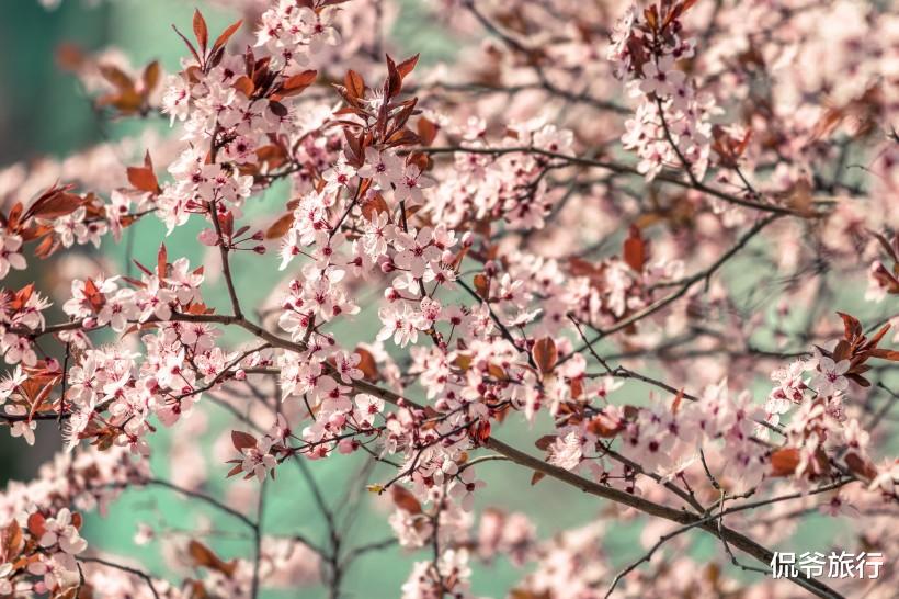 [生肖]6月30号得到福气的庇佑，能够令财运彻底爆发的3大生肖