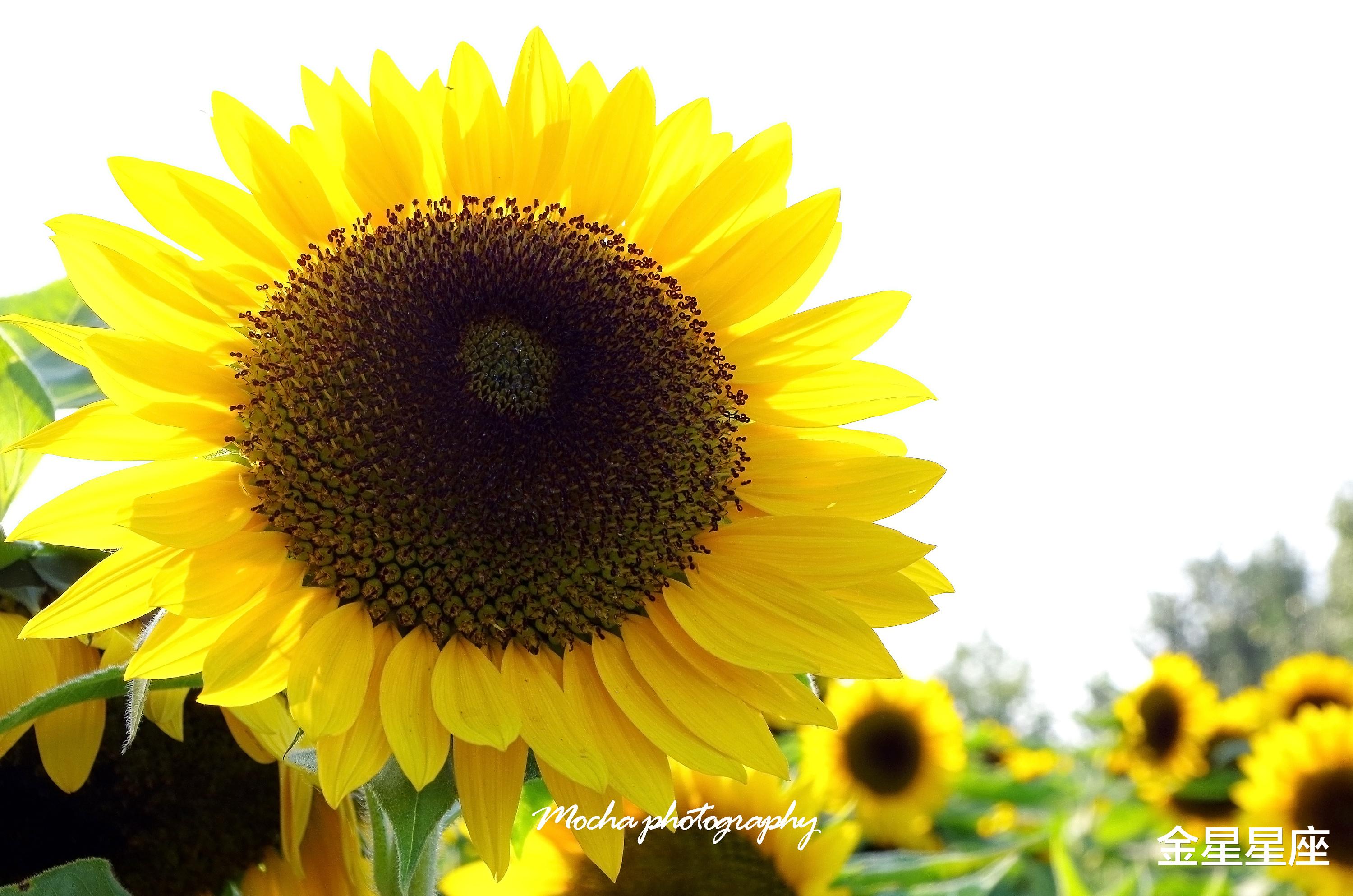 『运势』今天开始,财神庇佑,出门见喜的3个生肖,运势亨通,前途旺