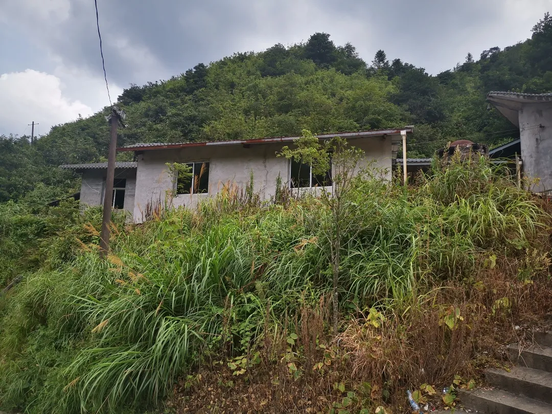 磁器口|浙江一家三口惨遭灭门，凶手竟是他！