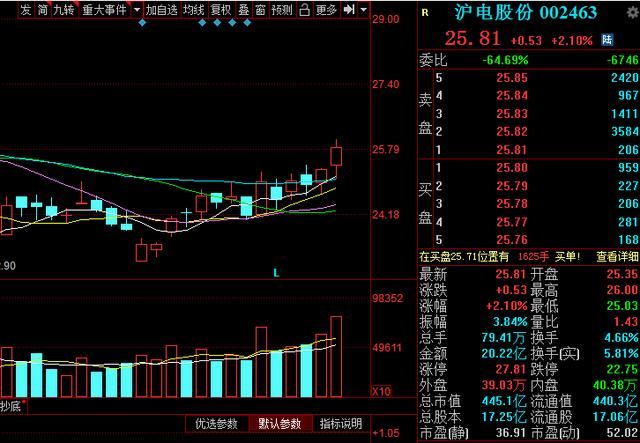 半导体■半导体走红，22只低估值优质潜力股出炉，（002463）低估值0.56