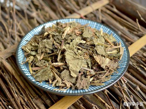 胆结石|哪有湿热，哪就有结石！老中医俞慎初的方子，尿石、胆石一起化解