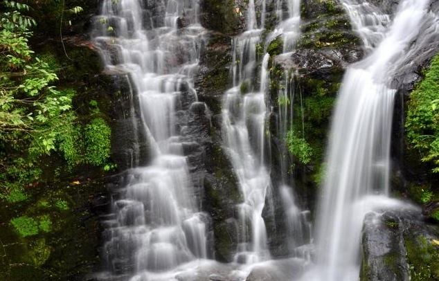 运势■6月1号开门见喜，迎财神接富贵，添丁添福添鸿运，大富大贵3生肖