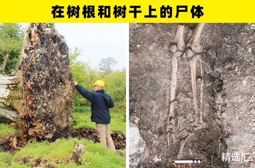 木乃伊|人类在地下发现的7个非常可怕的东西