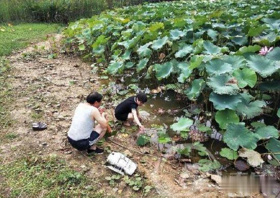 ＂原＂江南都市报|紧急提醒！江西多地已出现！