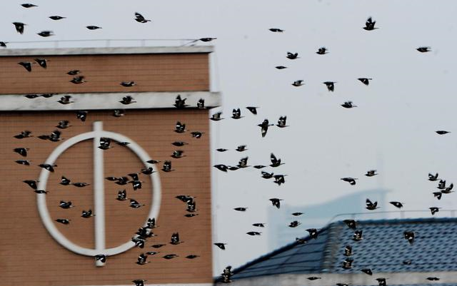 镇海中学|浙江最厉害的34所高中,镇海中学夺冠,状元人数最多!