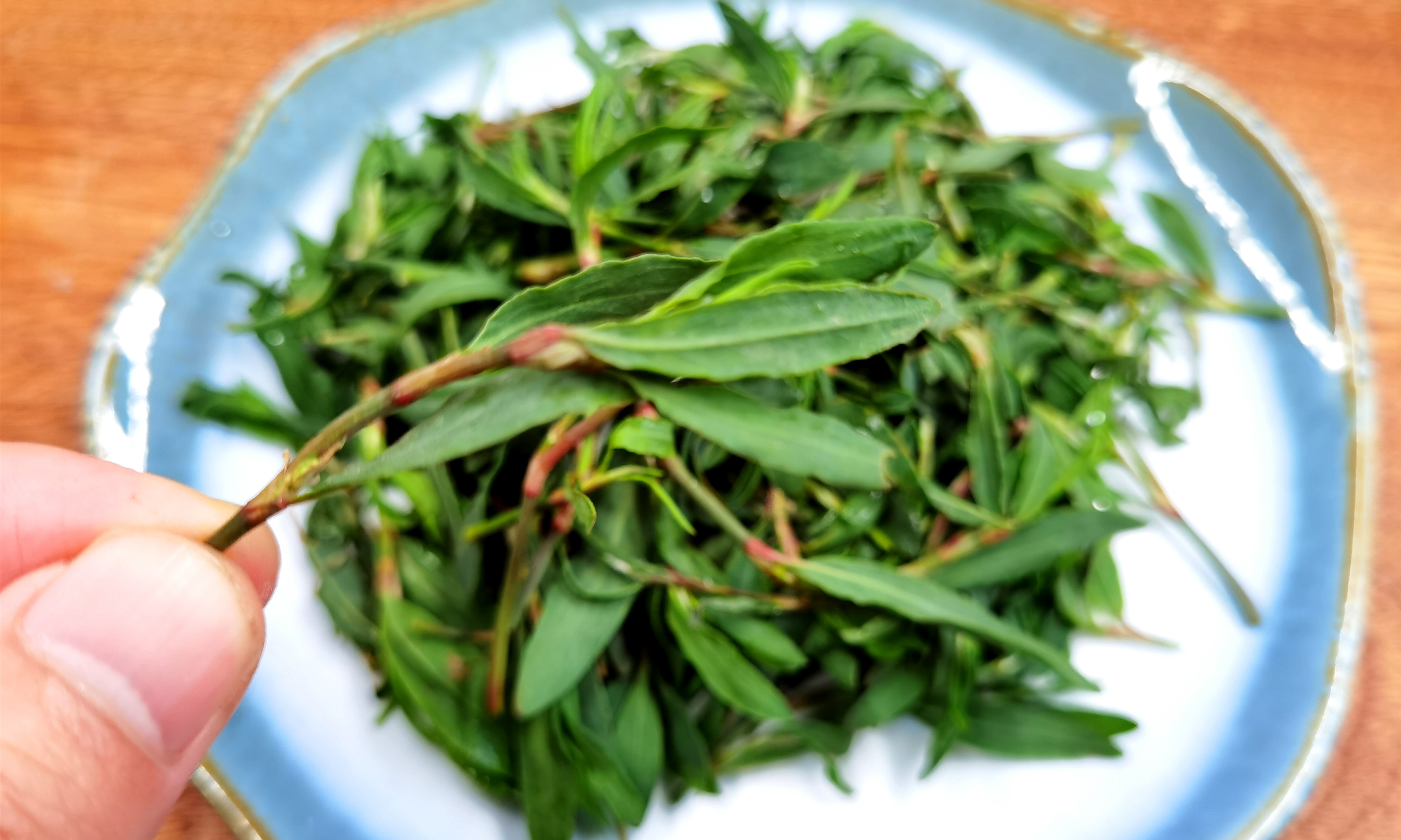 ：5月抓紧吃这菜，不花1分钱，隔三差五吃，营养促消化，错过等一年