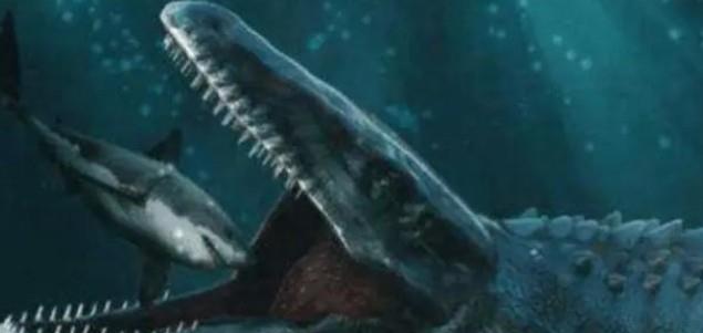 海洋生物▲海底8200米已没有鱼类生存，海底1万1千米，到底有多恐怖？