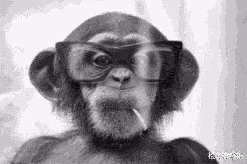 雪佛兰科迈罗|情迷大黄蜂，29万买辆两年的雪佛兰科迈罗，掀开机盖却脸色一沉