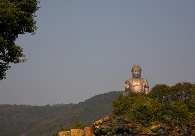 #无锡#世界最大释迦摩尼佛像，就在无锡太湖畔，本地人却不建议去