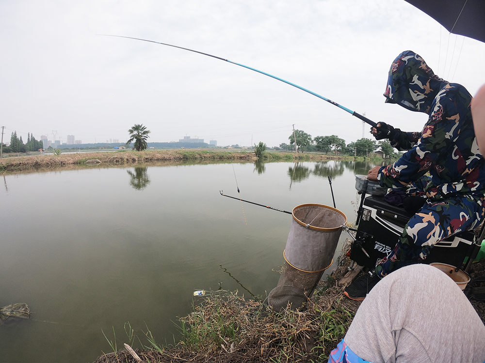 【】野钓鲢鳙，它一般在什么水层活动？鱼层也是可以自己控制的