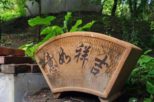 巨蟹座|十一国庆开始鸿运缠身，喜鹊光顾，大财小财不缺，顺顺利利的生肖