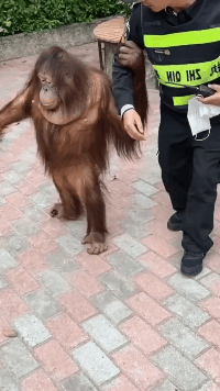 |房子不隔音是一种什么体验，这么说吧，可以通过声音“还原现场”