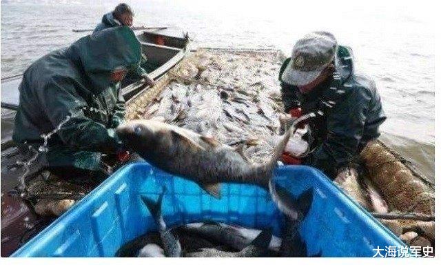 「军事演习」军演后炸死的鱼怎么处理？军队做法太聪明，各国纷纷效仿
