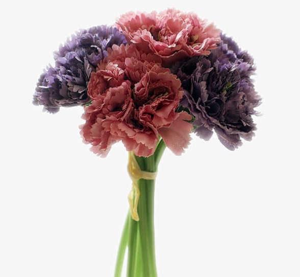 『属龙』下周起贵人相助，财运也相当好，入账机会增多的四属相