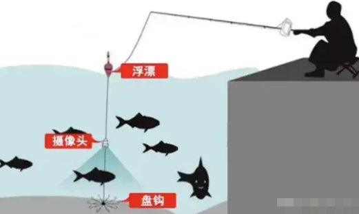 非法捕捞|可视锚鱼设备禁止使用，因用其设备，被罚5487元并拘留两个月