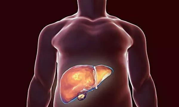 [肝脏]“这件事”比熬夜更伤肝，甚至还会让很多人上瘾，现在戒掉还不晚
