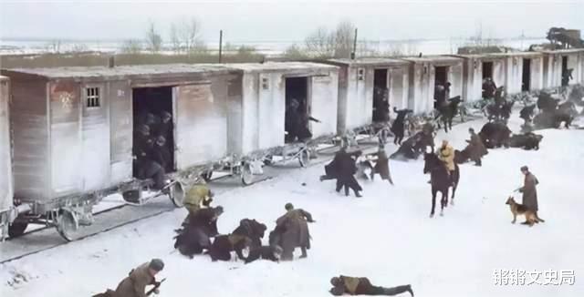 锵锵文史局 他被关进北极监狱，后逃亡3年，狱警徒步万里追到后为何放走他？