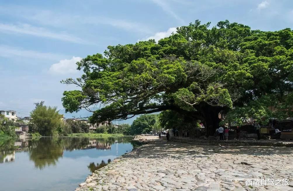 旅行|国内必去的100个地方，去过60个，称得上真正的旅行达人