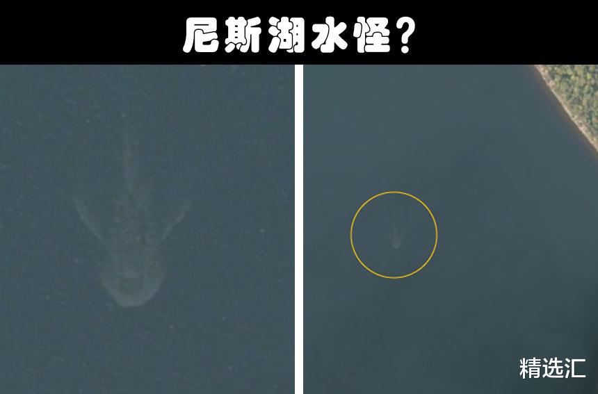 谷歌地球|在谷歌地图上，被人们发现的9种可疑的奇特生物