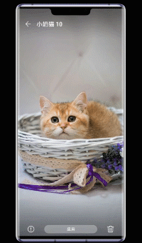 |多达30款华为产品正式使用EMUI 10.1, 快速切换应用手势覆盖更多机型