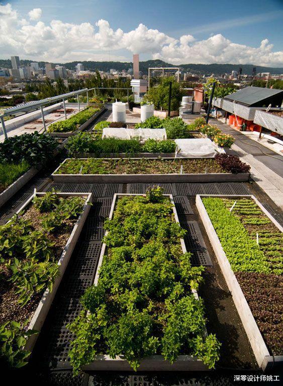 『』我要是住顶楼有露台，才不会只种花，一半影院、泳池独享双份快乐
