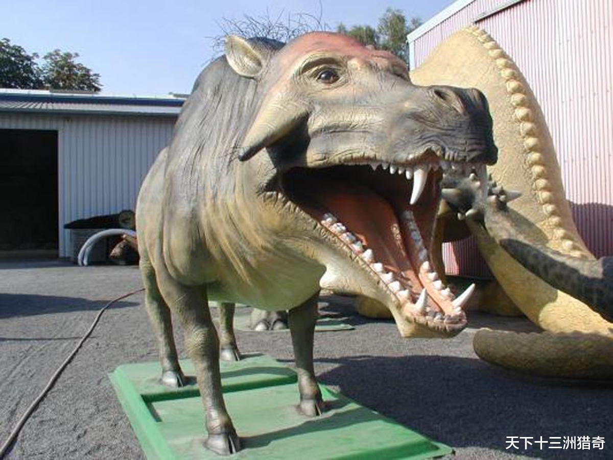 科学家|2500万年前堪称完美的生物，冥界之猪，脸上覆盖骨甲，没任何天敌