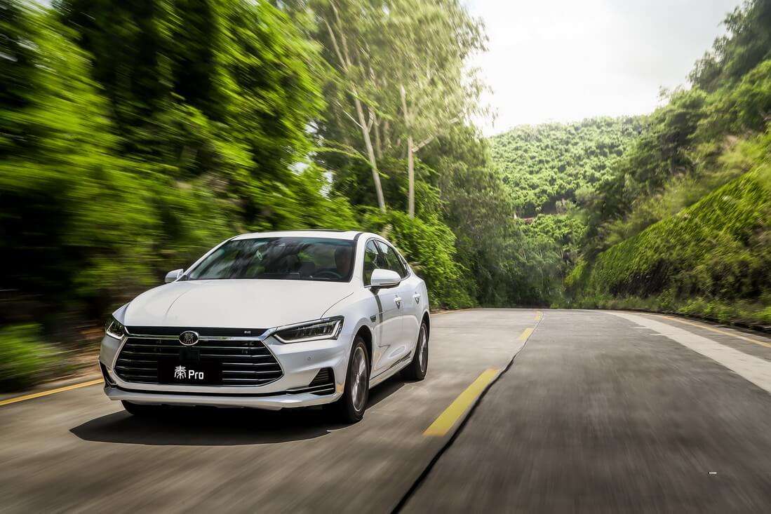 『比亚迪』比亚迪上路7天被查6次,车主气急败坏,在车尾留下这行字