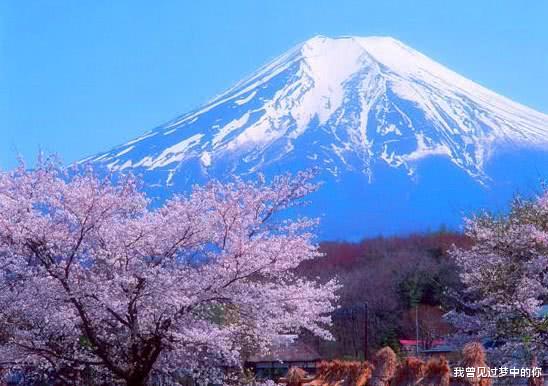 【癌细胞】为何中国的患癌率要比日本高？专家：日本人很少碰这些，国人经常吃