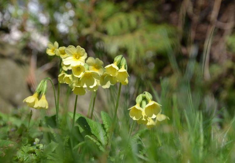 旧爱|10月中旬，旧爱意外出现，执着爱情有望复合的四大星座！