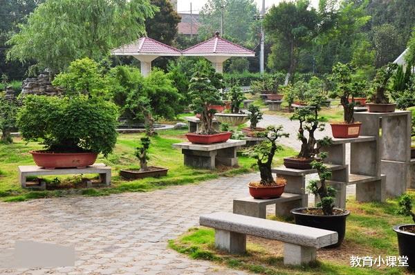 #中学#荆门最好的1所高中,不是市一中,而是这所县级中学,实力很强